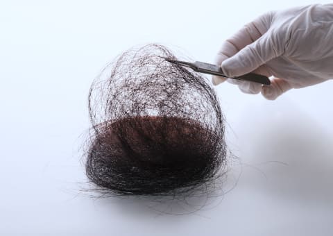 世界初の新素材「改質リグニン」